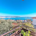 Orange Tree Trogir