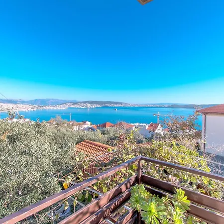 Orange Tree Trogir