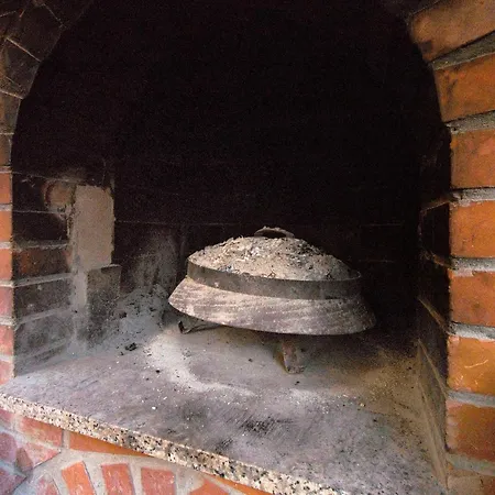 Orange Tree טרוגיר