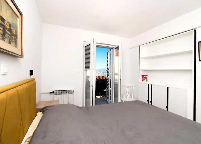 Orange Tree * טרוגיר