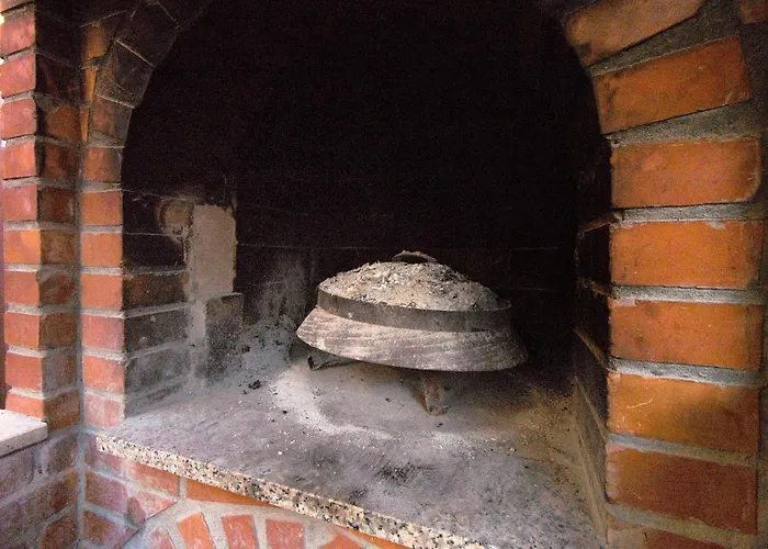 Orange Tree טרוגיר