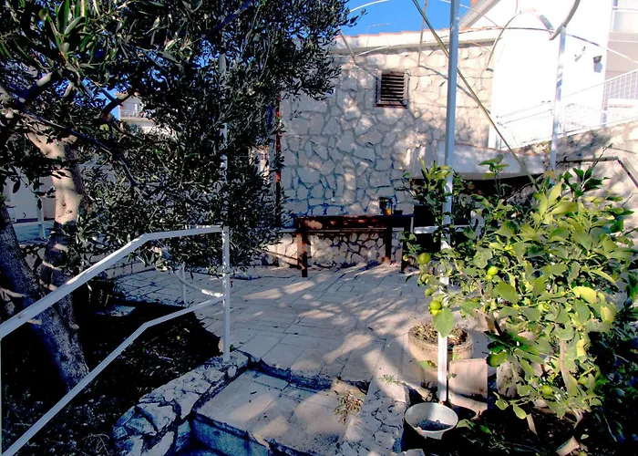 Orange Tree Apartament